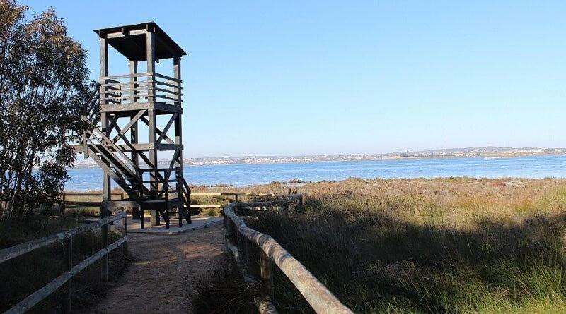 Apartamento Vistas La Mata Playa Eksteriør bilde